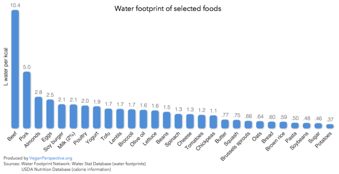 Water Footprint of Foods